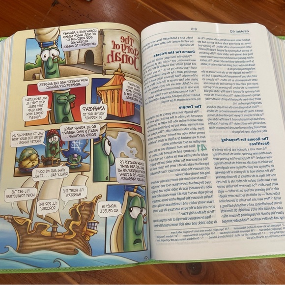 Bible NIV, The VeggieTales - Picture 5 of 6